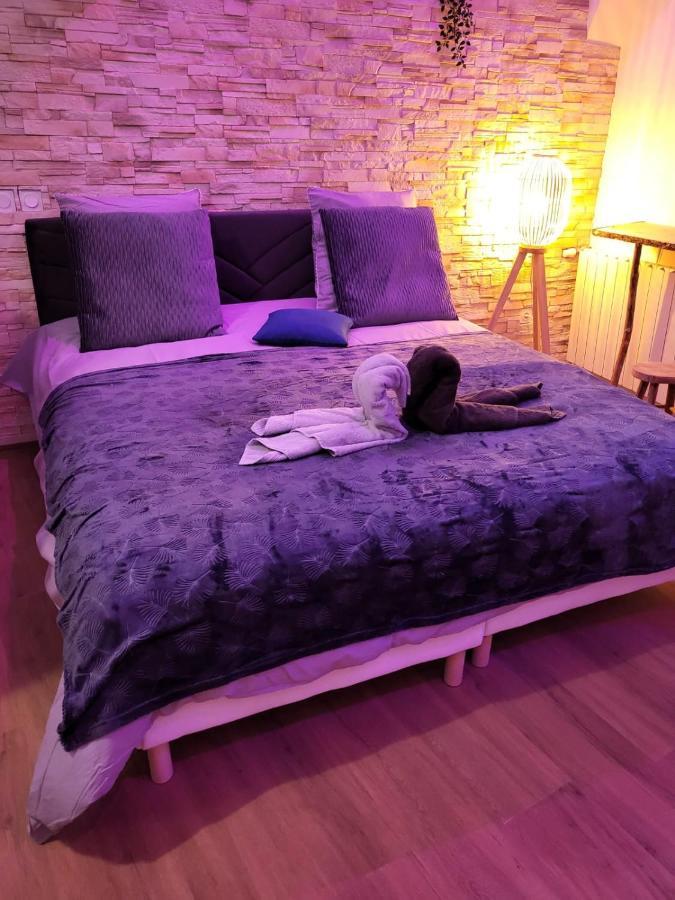 Le Spa De La Cathedrale - Jacuzzi - Sauna - Champagne - Netflix - Wifi Труа Екстер'єр фото