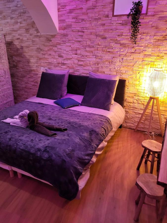 Le Spa De La Cathedrale - Jacuzzi - Sauna - Champagne - Netflix - Wifi Труа Екстер'єр фото