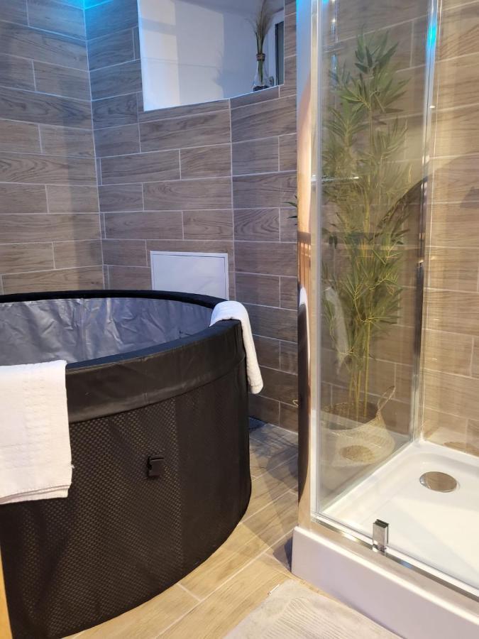 Le Spa De La Cathedrale - Jacuzzi - Sauna - Champagne - Netflix - Wifi Труа Екстер'єр фото