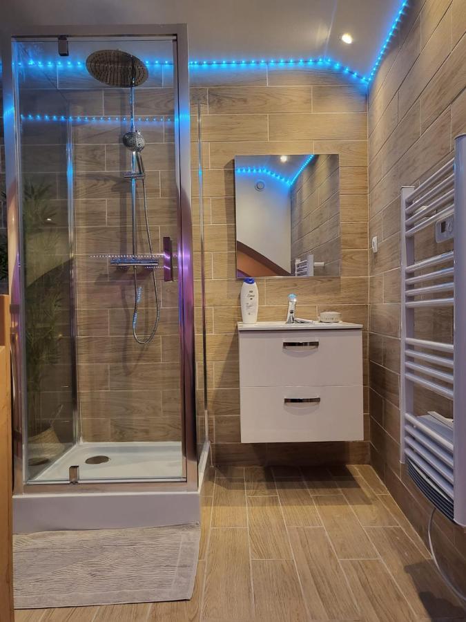 Le Spa De La Cathedrale - Jacuzzi - Sauna - Champagne - Netflix - Wifi Труа Екстер'єр фото